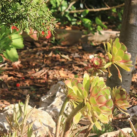 By The Sea - Perna, Peljesac - 4629 库希斯特