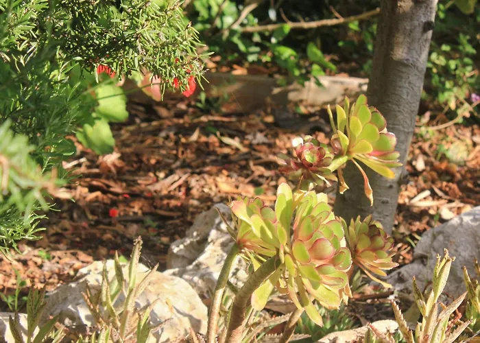 By The Sea - Perna, Peljesac - 4629 库希斯特