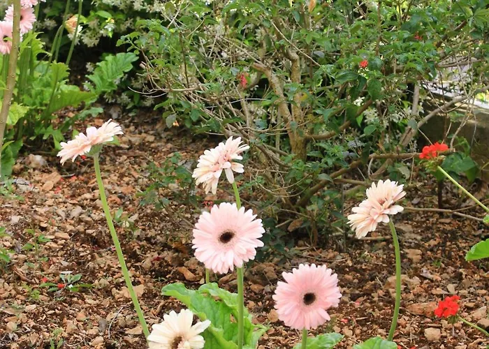 By The Sea - Perna, Peljesac - 4629 *